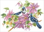 (image for) Blue Jays And Clematis